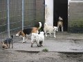 20160429 (2)